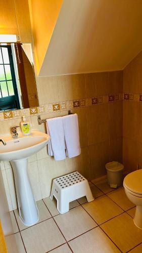 a bathroom with a sink and a toilet at Oliveira's Home in Porto Santo