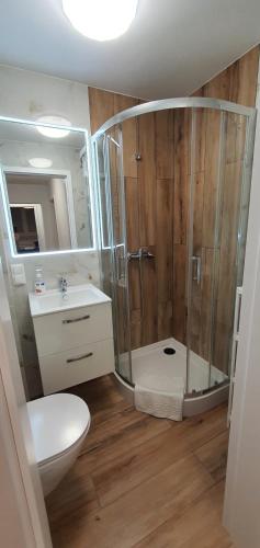 a bathroom with a shower and a toilet and a sink at Apartament Roanta in Polanica-Zdrój