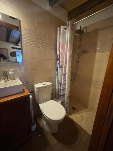 a bathroom with a toilet and a shower and a sink at La Trinidad in La Guancha