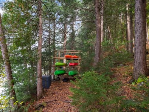 Zahrada ubytování La Chataigne - Wilderness waterfront escape