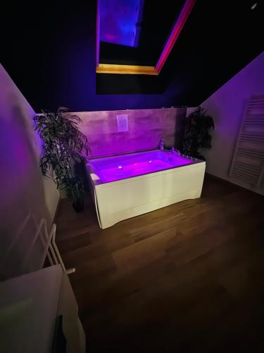 Φωτογραφία από το άλμπουμ του Superbe appartement jacuzzi beaune centre σε Μπων