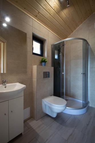 a bathroom with a shower and a toilet and a sink at USTECKA OSADA II Ustka Przewłoka in Ustka