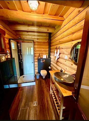 a log cabin bathroom with a sink and a toilet at Naarden with Sauna and Jacuzzi in Budapest