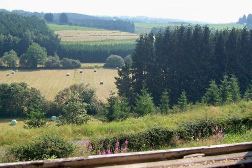a view of a field with trees and animals at Super view Am Flachsberg in Butgenbach