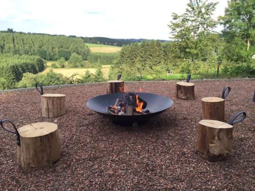 a fire pit surrounded by logs and a bunch of trees at Super view Am Flachsberg in Butgenbach