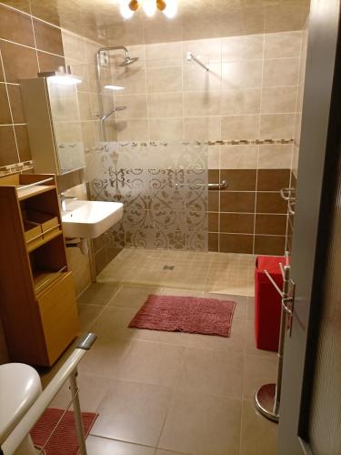 une salle de bain avec douche et lavabo dans l'établissement a patornay maison, à Patornay
