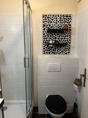 une salle de bain avec toilettes et douche en verre dans l'établissement CHARMANT STUDIO AVEC PISCINE à LA MIRANDOLE, à Vallauris