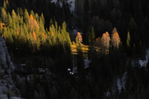 an aerial view of a forest of trees in a mountain at La Mansarda di Laura a Danta in Danta