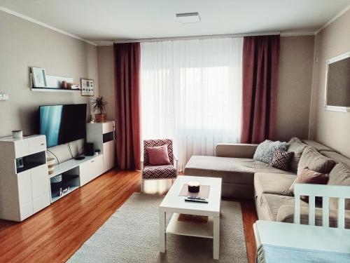 TV a/nebo společenská místnost v ubytování Apartman Đul
