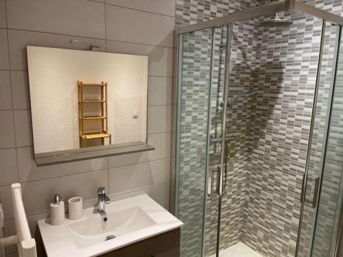 une salle de bain avec un lavabo et une douche en verre dans l'établissement Mulhouse hyper centre - Grand T3- Aux bons enfants, à Mulhouse