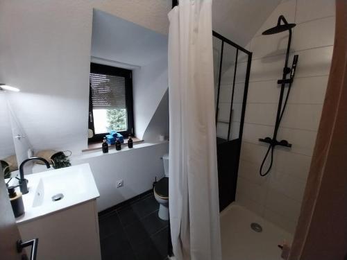 une salle de bain avec une douche, des toilettes et un lavabo dans l'établissement Sous les toits-Hypercentre-Pas de Frais de Ménage, à Mulhouse