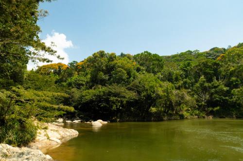 a river with green water and trees in the background at RíoBosque Cabañas de lujo frente al rio desayuno incluido san carlos antioquia in San Carlos