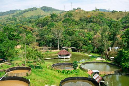 an aerial view of a park with a river and trees at RíoBosque Cabañas de lujo frente al rio desayuno incluido san carlos antioquia in San Carlos