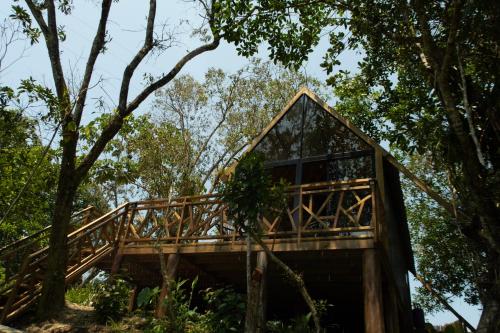 a tree house in the forest at RíoBosque Cabañas de lujo frente al rio desayuno incluido san carlos antioquia in San Carlos