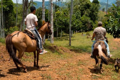 two men riding horses on a dirt road with a dog at RíoBosque Cabañas de lujo frente al rio desayuno incluido san carlos antioquia in San Carlos