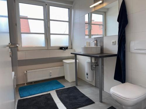a bathroom with a sink and a toilet at City Wohnung Zwickau in Zwickau