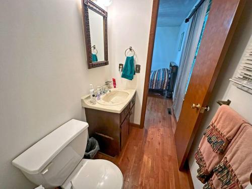 a bathroom with a white toilet and a sink at Buffalo Playhouse with game room in Williamson