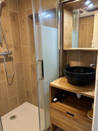 La salle de bains est pourvue d'un lavabo noir et d'une douche. dans l'établissement confortable et spacieux, à Bailly-Romainvilliers