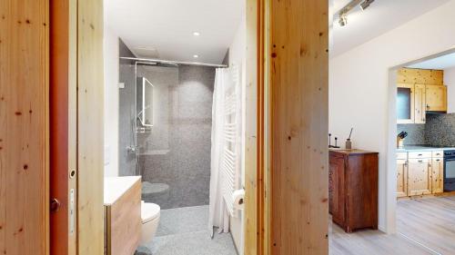 a bathroom with a shower and a toilet and a sink at Abitaziun Landignas - Zuoz in Zuoz