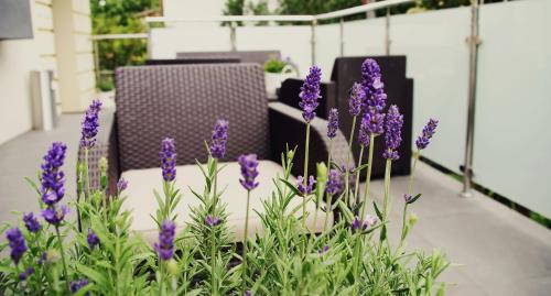 a bunch of purple flowers in front of a chair at Willa Alwa in Iława
