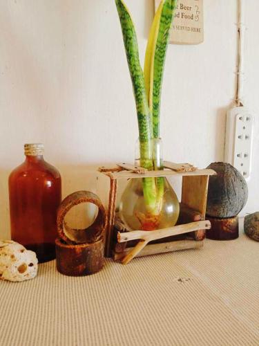 a vase with plants in it on a table at Amwani Camping Site in San Vicente