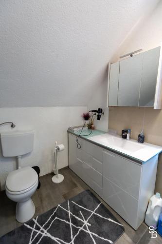 a bathroom with a white toilet and a sink at Hochrhein Ferienwohnung in Albbruck