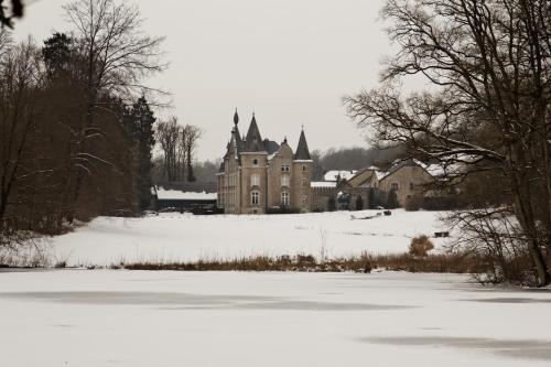 an old castle in the snow next to a frozen lake at Chateau d'Hassonville in Aye