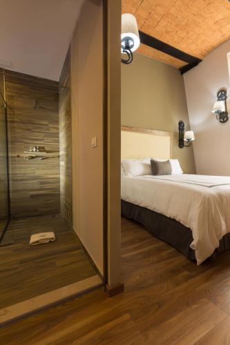 a bedroom with a bed and a walk in shower at Historico Central Hotel in Mexico City