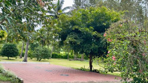 a red brick walkway in a park with a tree at The Shades Holiday Homes in Kushālnagar