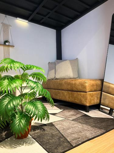 a living room with a couch and a plant at Lee's Transient Unit 1 in Digos