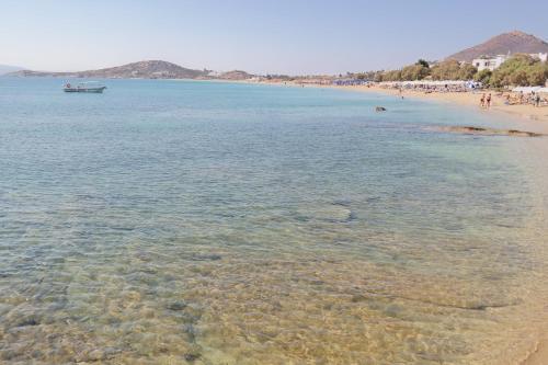 Gallery image of Katerina Babis Studios in Agios Prokopios