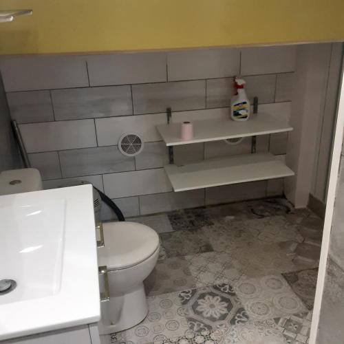une salle de bain avec toilettes et lavabo dans l'établissement appartement, à Longeville-lès-Saint-Avold