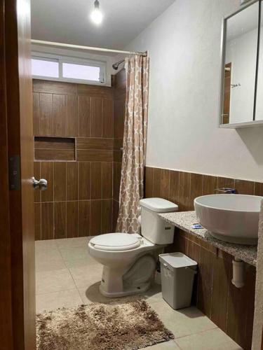 a bathroom with a toilet and a sink at Departamento en Pátzcuaro in Pátzcuaro
