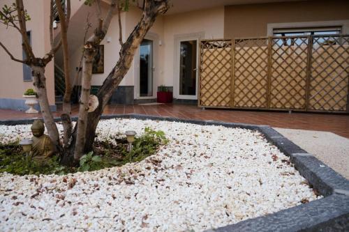 a garden with white rocks around a tree at Le Pernici Apartments in Mascalucia