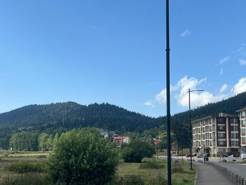 a street light next to a building and a mountain at Cozy Apartment 201A • BMIX • in Bakuriani