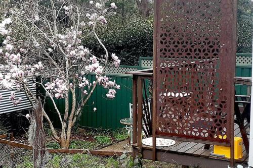 a wooden gate in a garden with a tree at Blue Mountains Ferncreek studio retreat pet friendly in Hazelbrook