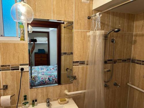 a bathroom with a shower and a sink and a mirror at Blue Mountains Ferncreek studio retreat pet friendly in Hazelbrook