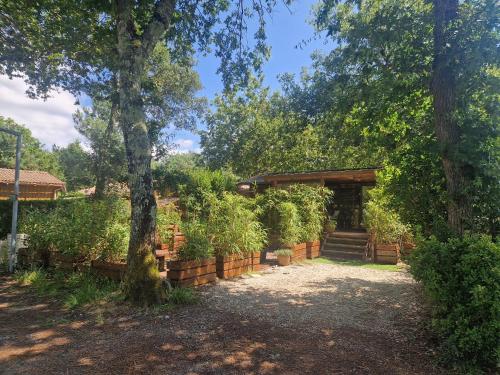 chalet 315 camping 4 étoiles Bassin d'Arcachon La Teste