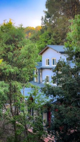 a white house in the middle of the trees at Oakakhi Stays, Deluxe room in Rānīkhet