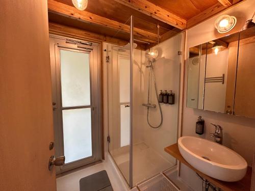 a bathroom with a shower and a sink at SHINMINKA Villa UTTABARU in Amami