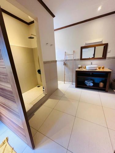 a bathroom with a sink and a mirror at Lodoicea Apartments in Bel Ombre