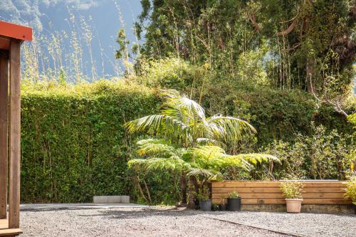 a garden with a fence and a palm tree at Le Palmi Chalet charmant in La Plaine des Palmistes