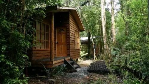 a small wooden cabin in the middle of a forest at Cabañas LAN KUYEN in Pindaco