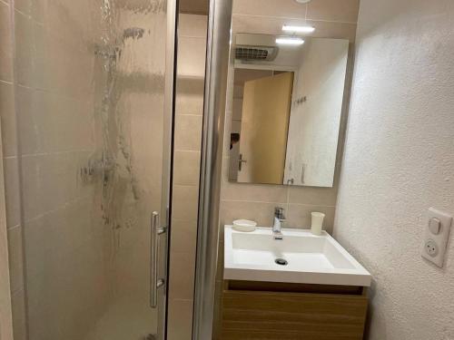 une salle de bain avec une douche, un lavabo et un miroir dans l'établissement Appartement 2 pièces 4 couchages ARGELES SUR MER AR370-013, à Argelès-sur-Mer
