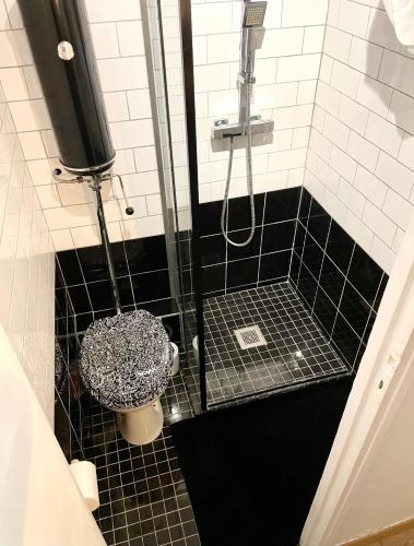 une salle de bain avec douche et toilettes dans l'établissement Mini studio au cœur du Marais, à Paris