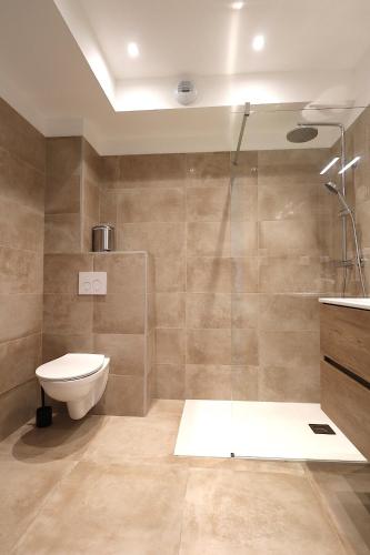 une salle de bain avec toilettes et douche dans l'établissement T2 Azur - Plage & commerces à 200m- Barbecue - Parking - Wifi, à Albitreccia