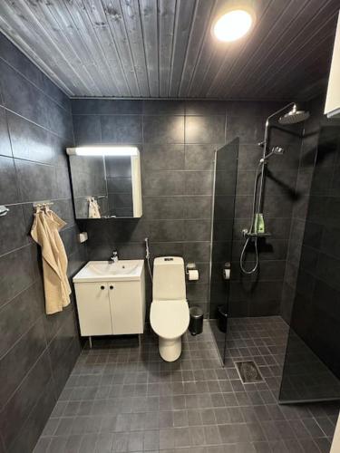 a bathroom with a toilet and a shower and a sink at Studio Mukka, Ivalo Center in Inari