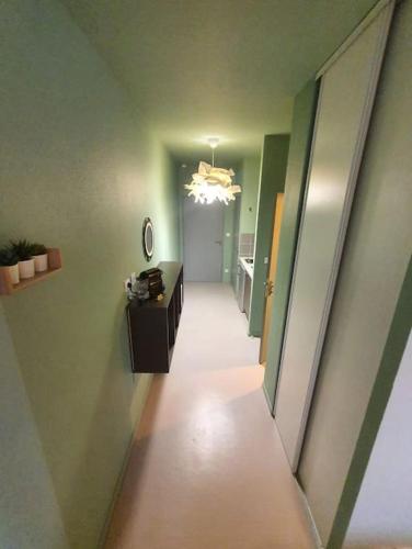 un couloir menant à une chambre avec un couloir dans l'établissement L'Orée du Parc, Lyon 6 - Parc Tête d'Or, à Lyon