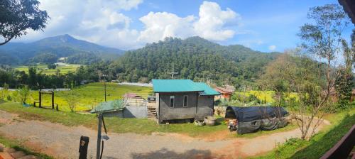 a small house with a green roof in a field at Baan Suan Mae Klang Luang in Ban Sop Mae Klang