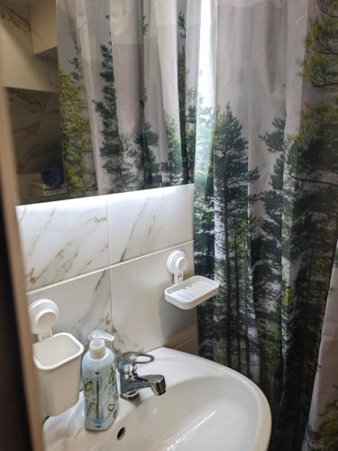 a bathroom with a sink and a shower curtain at Dunja Apartmans in Belgrade